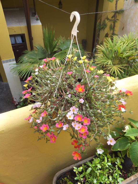 Casa Colonial Cejas Hotel Santa Cruz de Tenerife Kültér fotó
