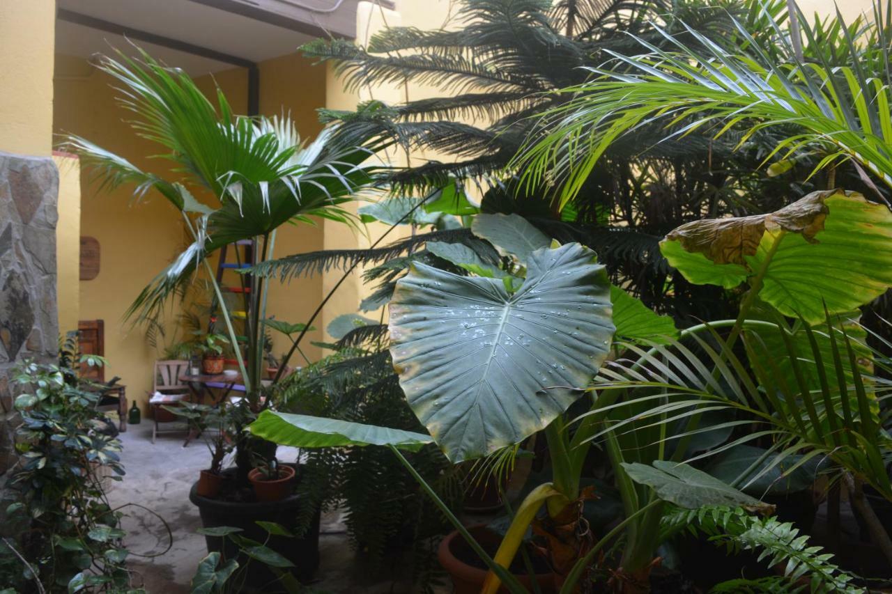 Casa Colonial Cejas Hotel Santa Cruz de Tenerife Kültér fotó
